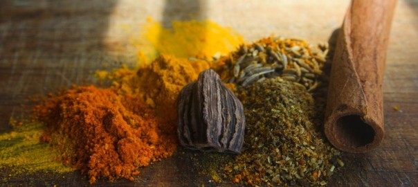 ayurveda detox